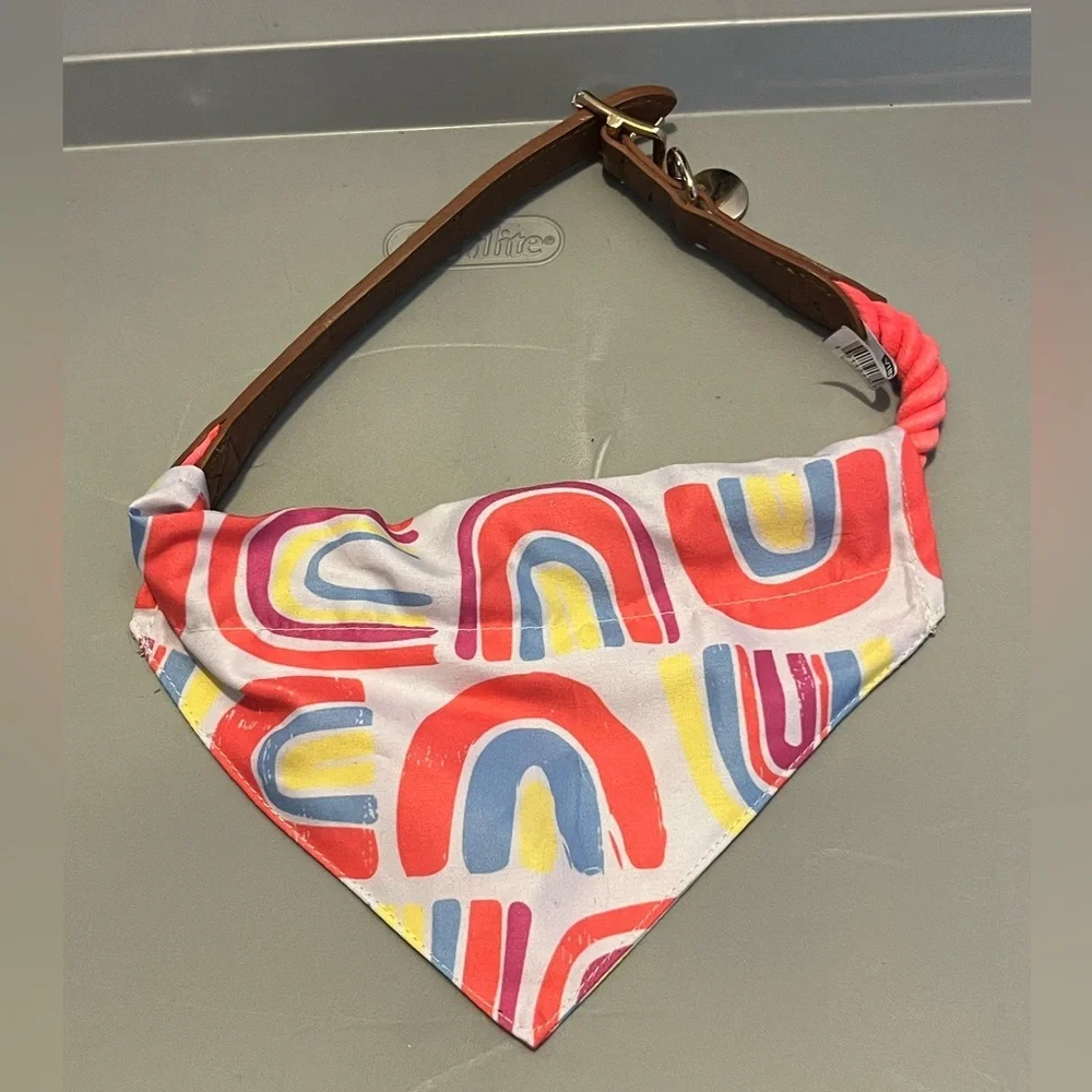 Pet collar and bandanna.